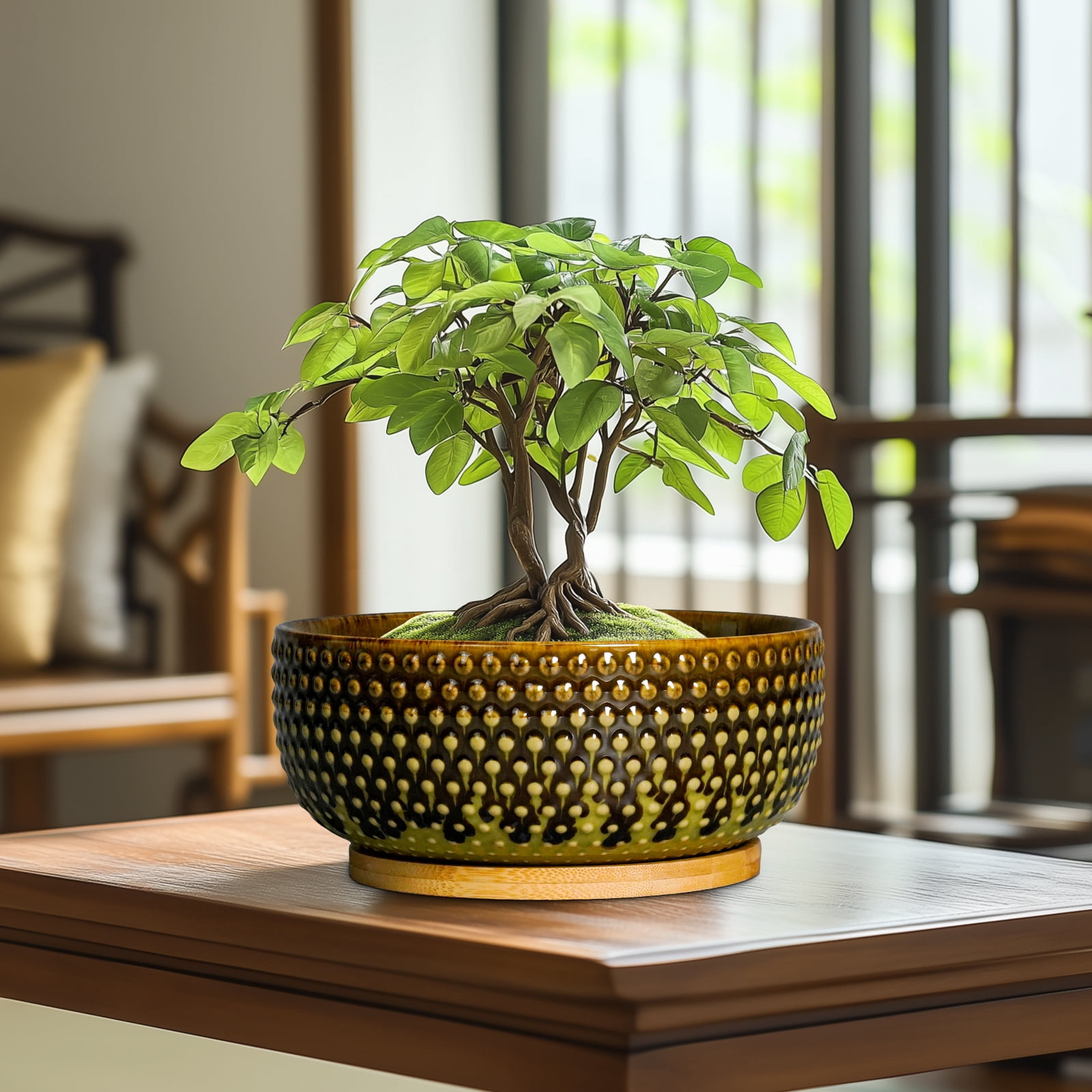 EPFamily 8 inch Brown-Green Succulent Planter Bowl with Drainage & Bamboo Saucer,Modern Ceramic Shallow Pots for Bonsai Trees, Cacti, Indoor Plants