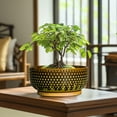 thumbnail image 6 of 8 inch Succulent Planter Bowl Modern Ceramic Pot with Drainage & Bamboo Saucer Shallow Pots for Bonsai Trees Cacti Brown-Green, 6 of 9