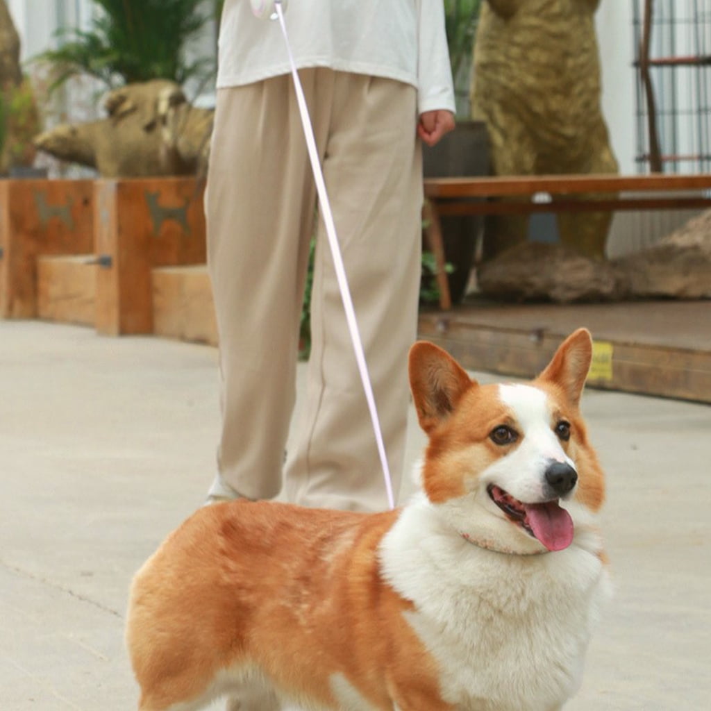 CIYISON Automatic Retractable Dog Leash Pet Collar Durable Rope with LED Night Light