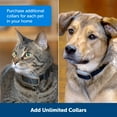 thumbnail image 4 of PetSafe Pawz Away Extra Receiver Collar for Cats and Dogs over 5 lb., Add Additional Pets, 4 of 7