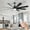Black+Black, variant on Sofucor 76" Modern Ceiling Fan with Light and Remote Control 8 Blades