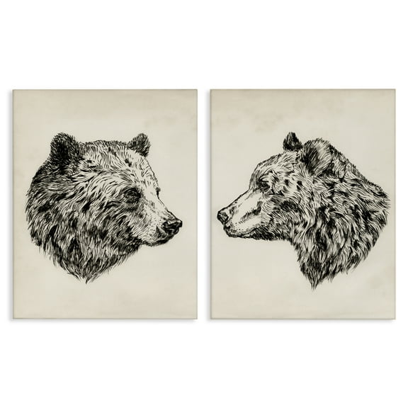 Stupell Industries Portrait Brown Bear Animal Animals Drawing Wrapped Canvas Art Print Wall Art, 16 x 20, Set of 2