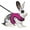 Rose Red, variant on Bunny Rabbit Harness with Leash Cute Adjustable Buckle Breathable Mesh Vest Harness and Leash Set for Kitten Small Pets Bunnies Walking