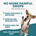 thumbnail image 4 of BestLife4Pets Eye Care and Eye Infection Supplement - Natural Vision Care Support for Dogs, 4 of 11