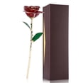 thumbnail image 2 of Fleur Rose Trempée, Vraies Feuilles de Rose Rouges Peuvent Voir la Texture de la Fleur Clairement Longue Tige Trempée Rose Rouge, Fait Main Rose Dorée 24k pour Amoureux Femme, 2 of 7
