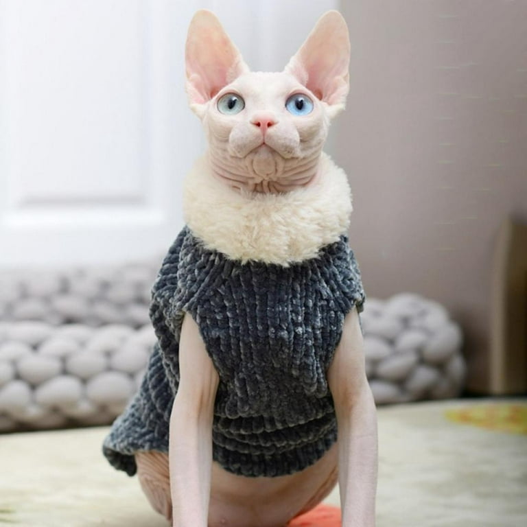 Coats for Sphynx Cats | Cat Winter Coat, Cat Coat, Jackets for cats