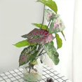 thumbnail image 5 of 2 uds hojas verdes artificiales hojas de plantas artificiales plantas de hojas verdes tropicales con 44cm de alto Fo, 5 of 5