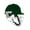 GREEN, variant on Shrey KOROYD TITANIUM Cricket Helmet