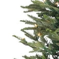 thumbnail image 4 of 4.5 ft. Pre Lit Clear UL Potted Natural Cut Eastern Pine, 4 of 5
