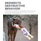 thumbnail image 5 of Juguete interactivo para perros Outward Hound Squawkers Earl Chicken, 5 of 5