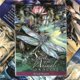 thumbnail image 4 of Tarot Cards Spirits Of The Animals Oracle Cards Games Set Party Entertainment Board Games For Adult Children50pcs Ts90, 4 of 4
