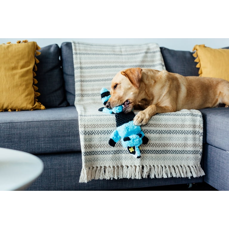 DESTROY DOG
デストロイドッグ　
グラフィティ　アート　
裏庭 Hard To Destroy Dog Beds Chew Proof Armored™ Padded Dog