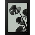 thumbnail image 1 of Artographie Studio 13x18 Black Modern Framed Museum Art Print Titled - Monstera Teal 04, 1 of 4