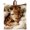 Giraffe, variant on Cute Sleeping Giraffe Blanket Gifts for Women Men Giraffe Lovers Adults Cozy Lightweight Funny Giraffes Throw Blankets for Couch Sofa Home Decor Birthday Gifts 50x40 Inch
