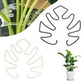 thumbnail image 6 of Monstera Plant Trellises Stakes Vertical Growth Support Holder for Indoor and Outdoor Plant Monstera Flowers, 6 of 8