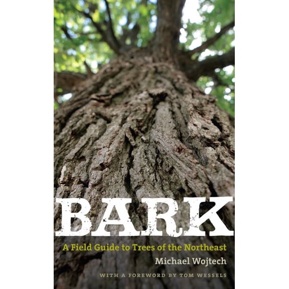 Pre-Owned Bark : A Field Guide to Trees of the Northeast (Paperback)