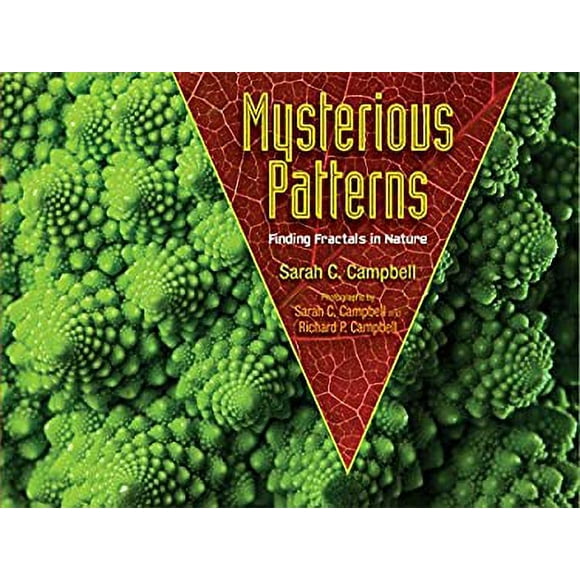 Pre-Owned Mysterious Patterns : Finding Fractals in Nature 9781620916278