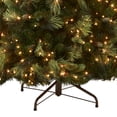 thumbnail image 3 of Árbol de Navidad National Tree Company Carolina Pine 7.5 pies, 3 of 6