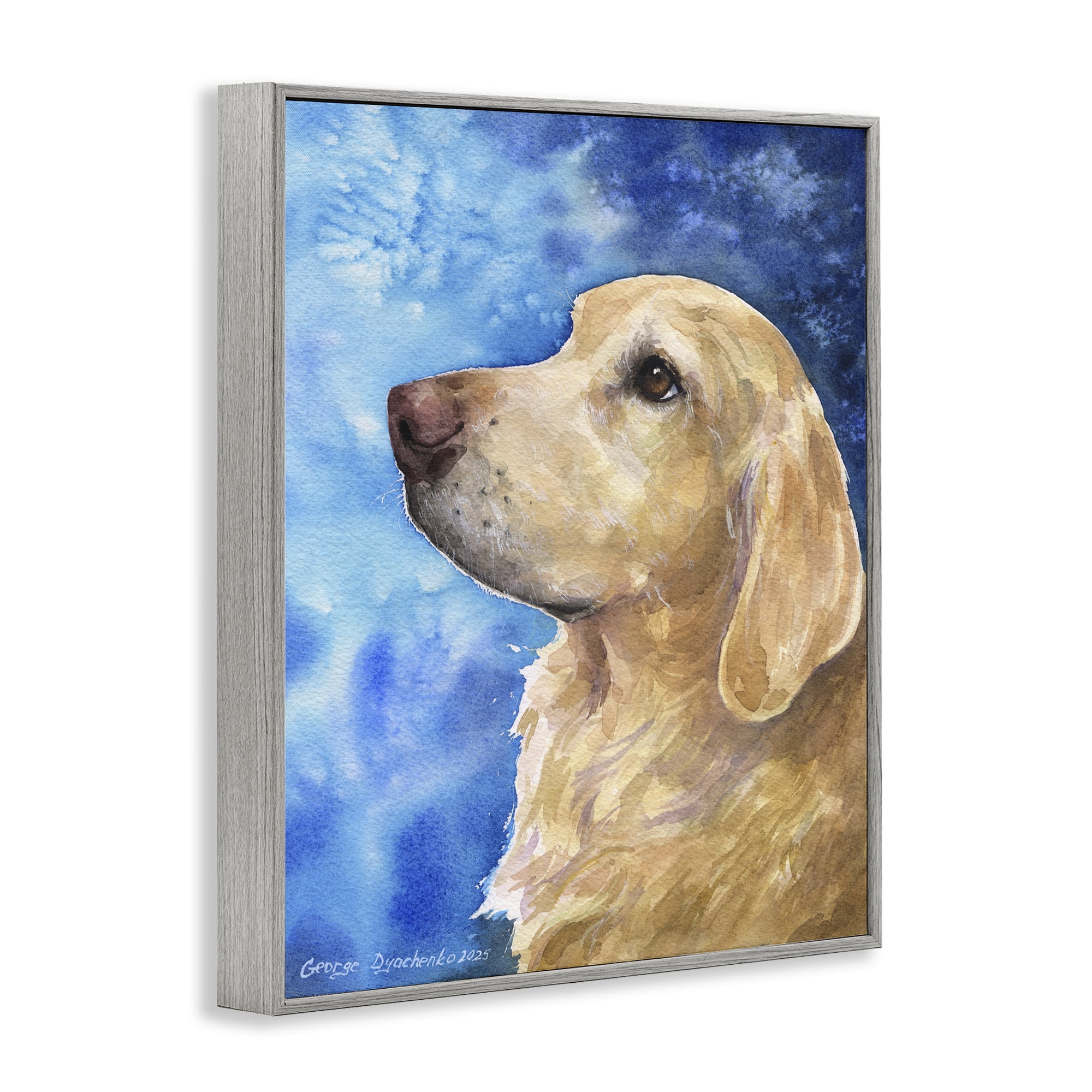 Stupell Industries Golden Retriever Portrait on Azure Gray Framed Giclee Art, design by George Dyachenko