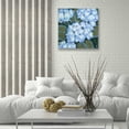 thumbnail image 5 of Epic Art 'Blue Hydrangeas I' by Tim O'Toole, Acrylic Glass Wall Art, 24"x24", 5 of 5