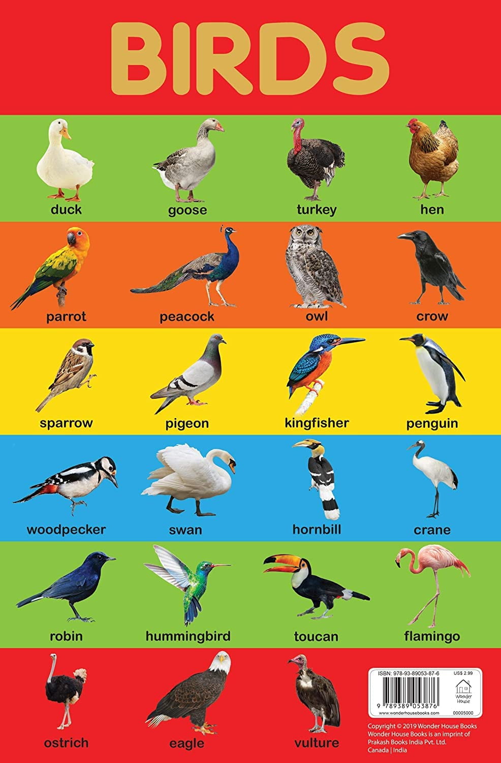 Birds Chart Early Learning Educational Chart For Kids Perfect For