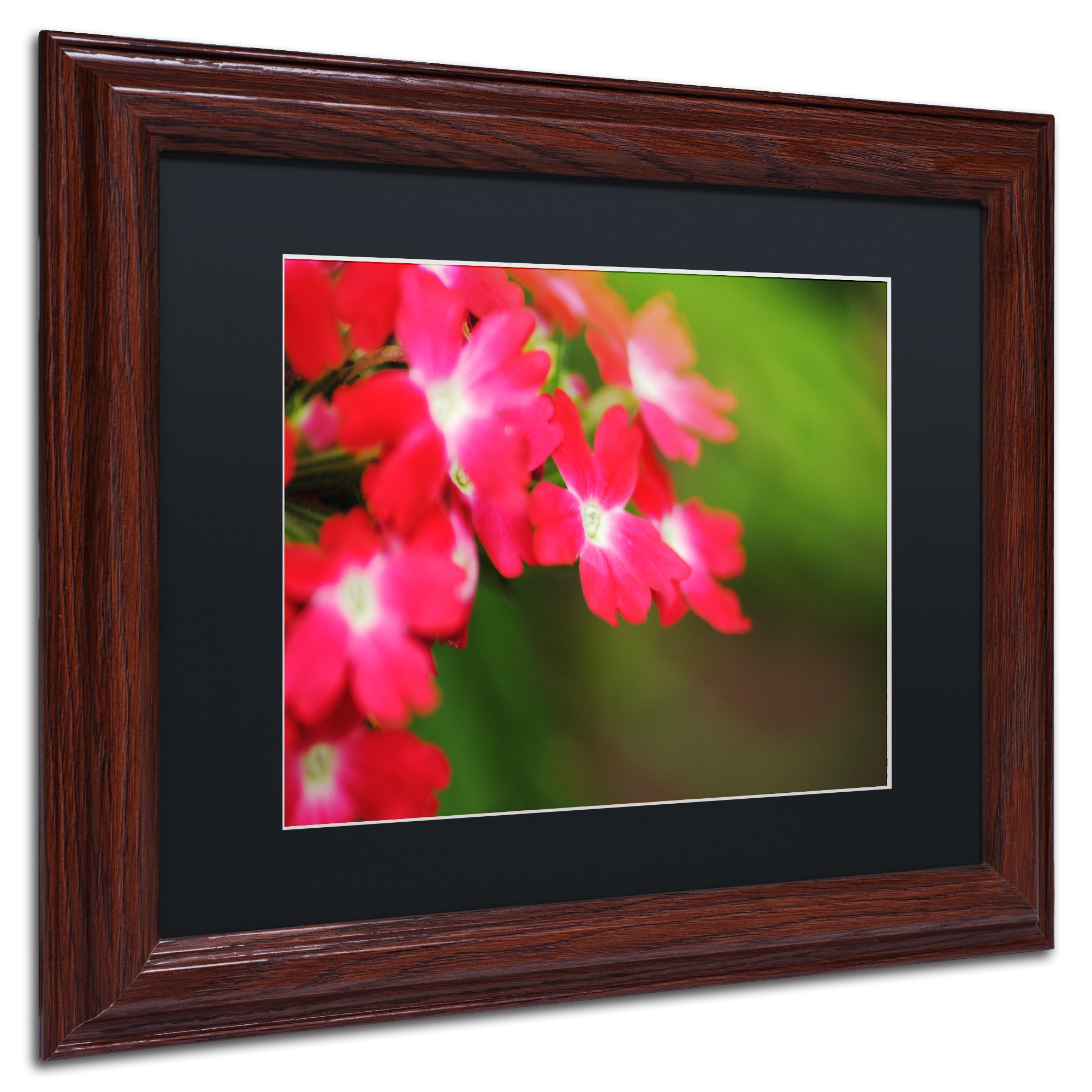 Trademark Fine Art "Paired Ornament" Canvas Art by Monica Mize, Black Matte, Wood Frame
