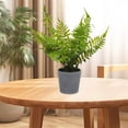 thumbnail image 4 of IFANLANDOR 1Ud Planta Decorativa Artificial De Helecho En Plástico Color Azul Para Y Oficina, 4 of 6
