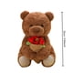 thumbnail image 5 of Un Regalo para El Destinatario: Un Lindo Oso de Peluche con Una Rosa Roja., 5 of 6