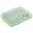 Green B, variant on Sprouts Growing Kit, Bean Sprouts Tray Soil-Free Seed Sprouter, Mung Wheatgrass Growing Tray for Indoor Gardening, Microgreens Germination Tray, 22 cmx14 cm, Grenn A