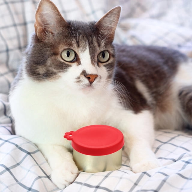 Raindrops 6Pcs Canned Food Lid Assorted Color for Household Pet Food Storage