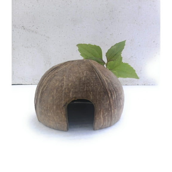 Beetroots Eco-living Coconut shell Small animal habitat decor for fish,crab,and reptiles