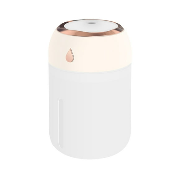 Binwennn Humidifiers for Bedroom Light up Rain Mate by Rainbow Items Inhaler Holder Mini Humidifier Dazzling Lights USB Large Fog Volume Double Spray Nano Hydration Instrument