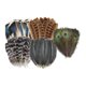 thumbnail image 4 of Plumas para manualidades Macarena sombrero de vaquero 50 piezas colores brillantes, 4 of 8