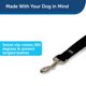 thumbnail image 2 of Correa para perros PetSafe de nailon, resistente y duradera, 3/4 pulgadas x 4 pies, negra, 2 of 6