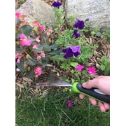 Garden Guru Stainless Steel Hand Rake Soil Tiller With Ergonomic Handle, Great for Gardening, Cultivating, Loosening Soil & Spreading Mulch (2 Pack)