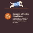 thumbnail image 6 of Wellness CORE Digestive Health Large Breed Adult Dry Dog Food, Wholesome Grain Kibble, Sensitive Stomach, Natural, High Protein, Chicken and Brown Rice Recipe, 24 lb Bag, 6 of 10