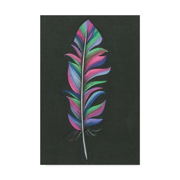Trademark Fine Art 'Colorful Feather' Canvas Art by Nicky Kumar
