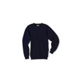 thumbnail image 1 of Hanes 10 onzas Ultimate Cotton Fleece Fleece Navy L Hanes suéter, 1 of 1