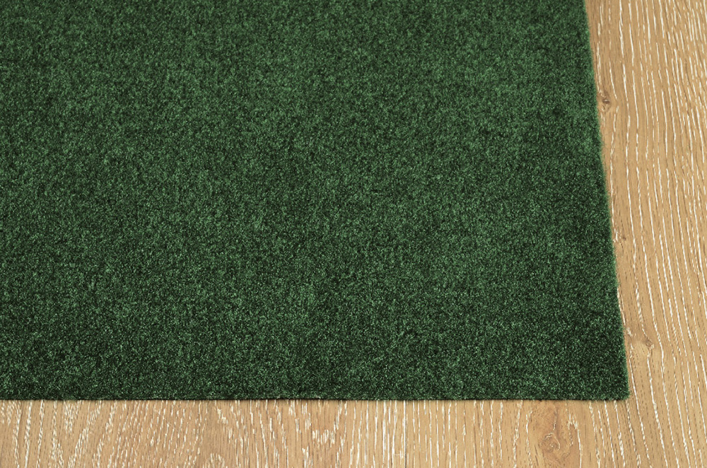 6X8 Dilour Green Indoor/Outdoor Area Rug