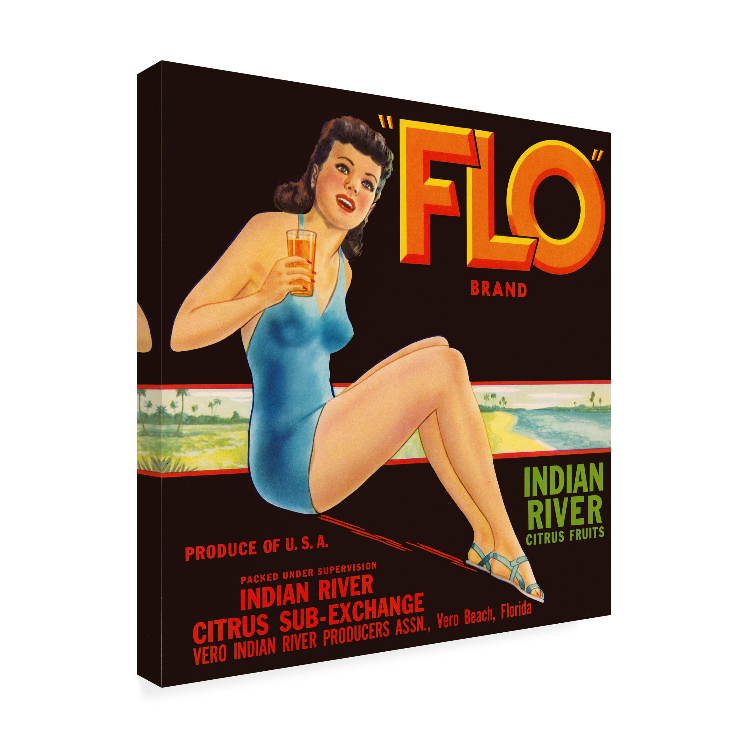 Print Collection 'FLO Brand Citrus' Canvas Art