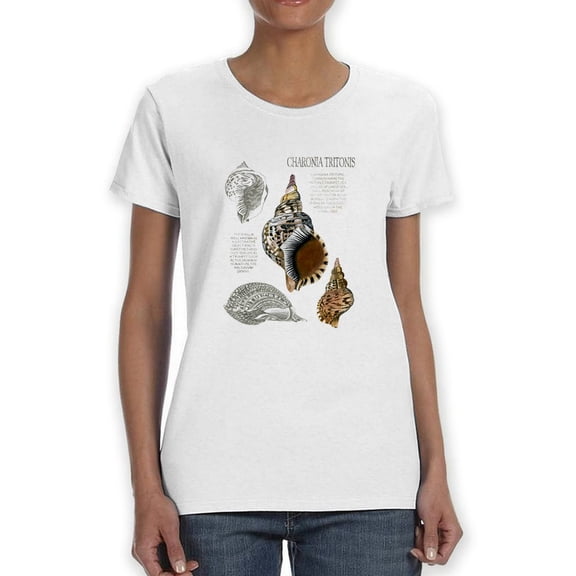 Seashell Field Notes I T-Shirt Women -Naomi McCavitt Designs, Female x-Large