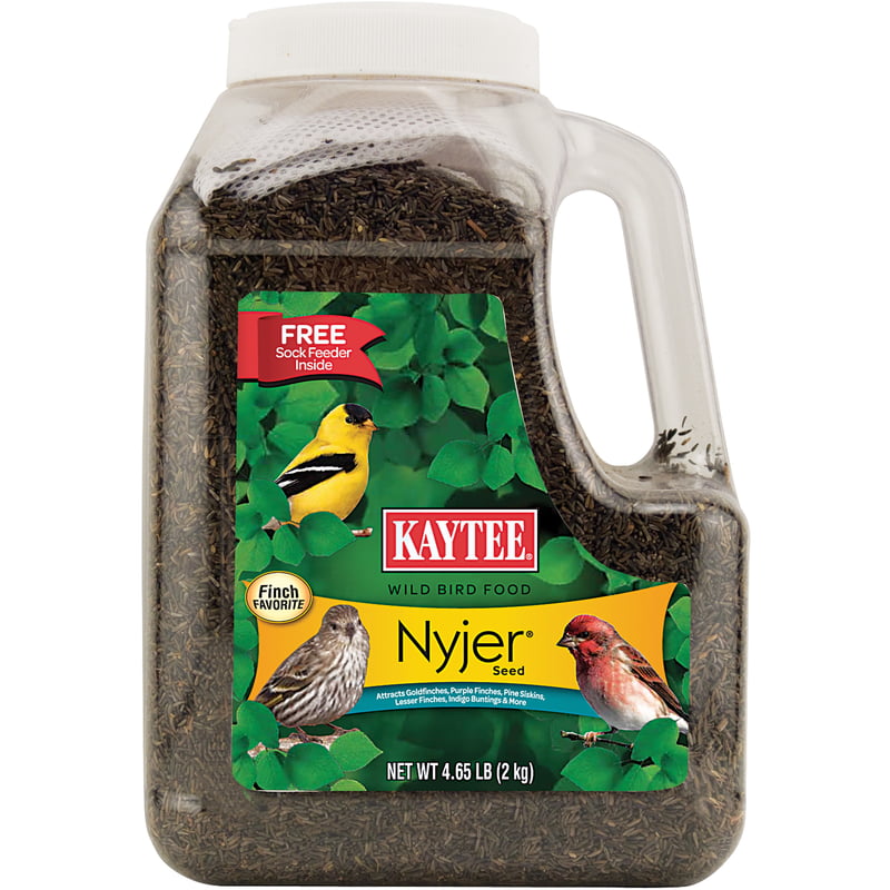 Standard / Metal Supa Wild Bird Nyjer Seed Holder bp Finch Details about   NIGER FEEDER 