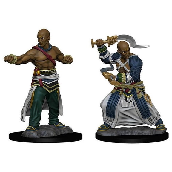 Pathfinder Deep Cuts Human Male Monk W1 Miniature