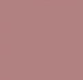 Faded Rose