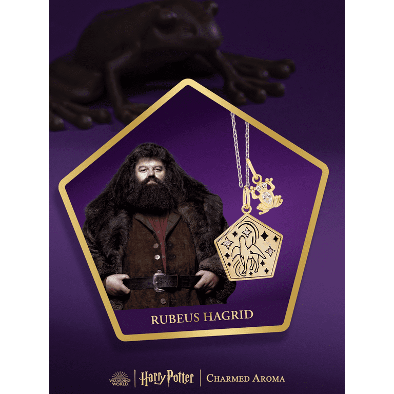 Harry Potter Duftkerze Chocolate Frog (Charmed Aroma) mit limtierter
