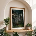 thumbnail image 5 of Untitled - Portland Oregon Photography Forest Nature Woodland Woods Scenic Landscape Mystical Unframed Wall Art Print 12 x 18 inches, 5 of 60