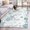 Multi, variant on 3'x5' Area Rugs, Ocean Coastal Indoor Outdoor Area Rug for Living Room Bedroom, Nautical Starfish Conch Seashells Coral Washable Bathroom Rugs Kitchen Floor Carpet Mats Home Decor Aesthetic