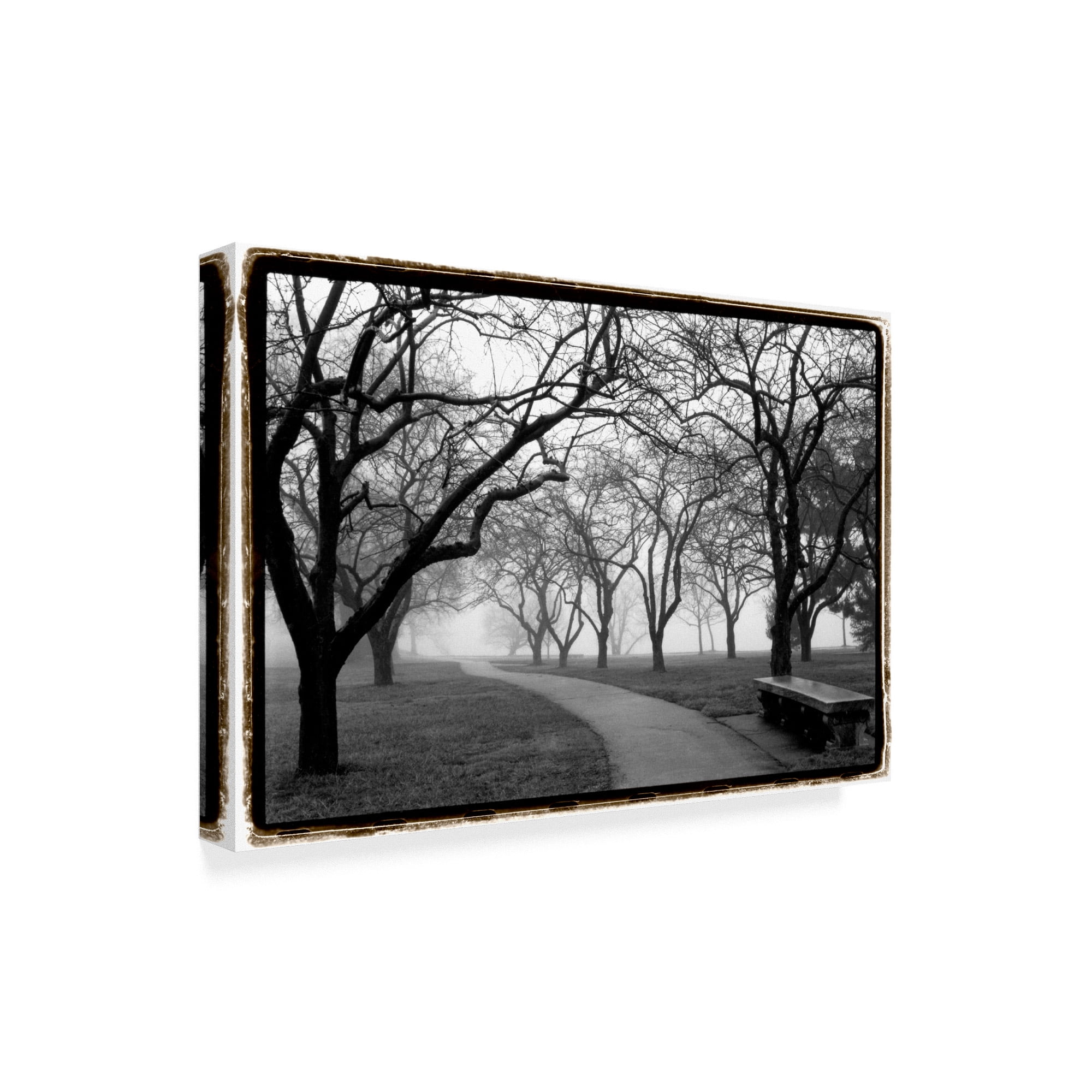Trademark Fine Art 'Foggy Morning Walk on FAP' Canvas Art by Laura DeNardo