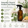 thumbnail image 5 of 8 fl oz Eucalyptus Globulus Essential Oil (100% Pure & Natural) Plastic Bottle, 5 of 9