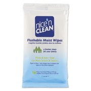 Nice N' Clean Moist Toilet Tissue, 7 x 5 1/2, Blue, 16/Pack, 24 Packs/Carton